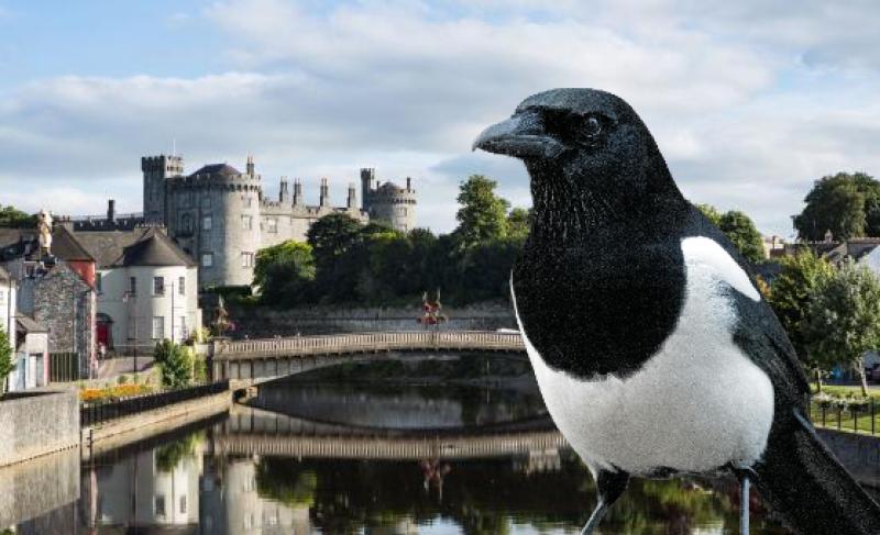 Kilkenny deemed to be the 'most superstitious' county in Ireland