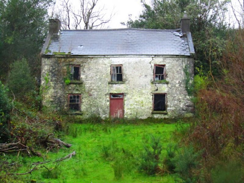 Refurbishment grants return almost 100 Kilkenny vacant and derelict homes to use