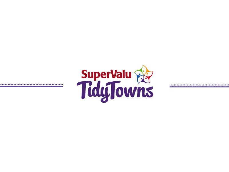 Kilkenny City improves Tidy Towns score but misses out on national prize