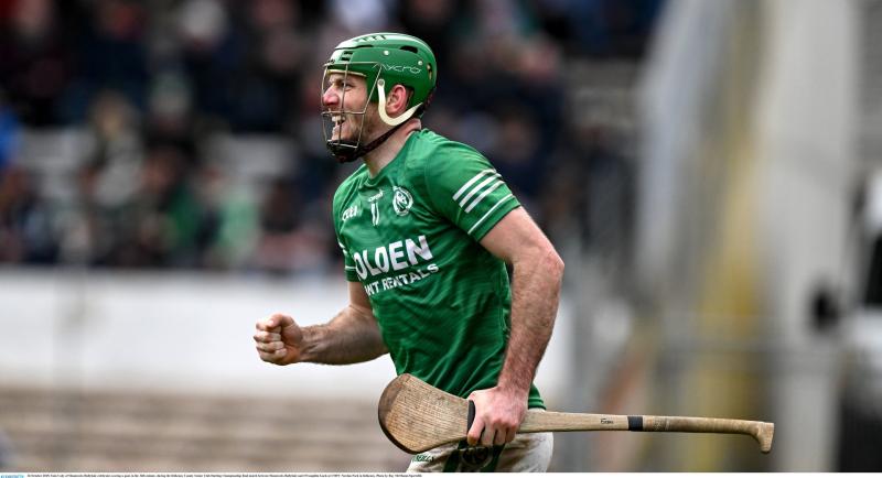 Sublime Shamrocks overcome O'Loughlin's to take Kilkenny SHC crown