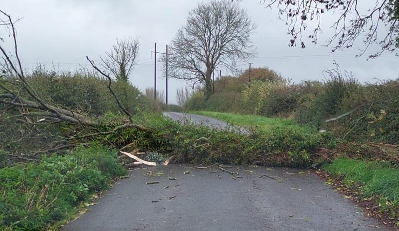 LIVE: Kilkenny road blocked by fallen tree as harsh weather hits the locality 