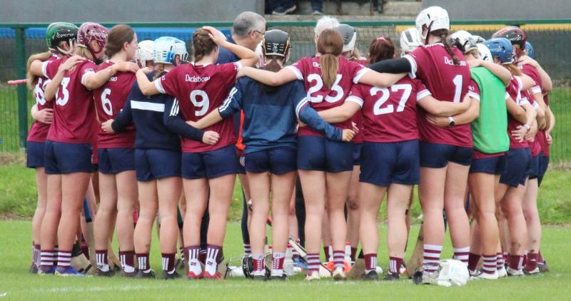 Dicksboro record striking result away to Birr in Leinster Championship - Kilkenny Live