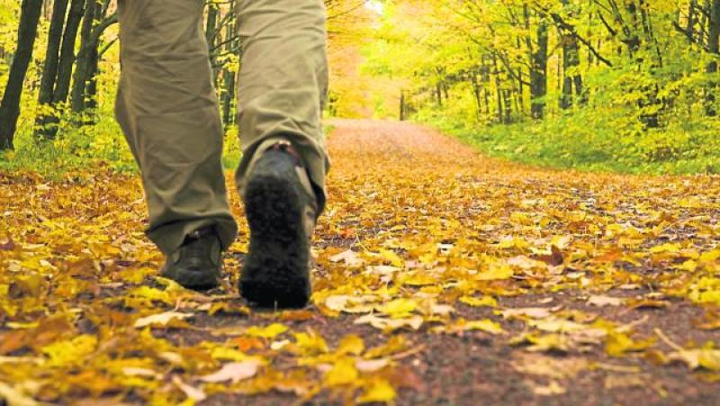 Could improvement works be made to this popular Kilkenny walkway?