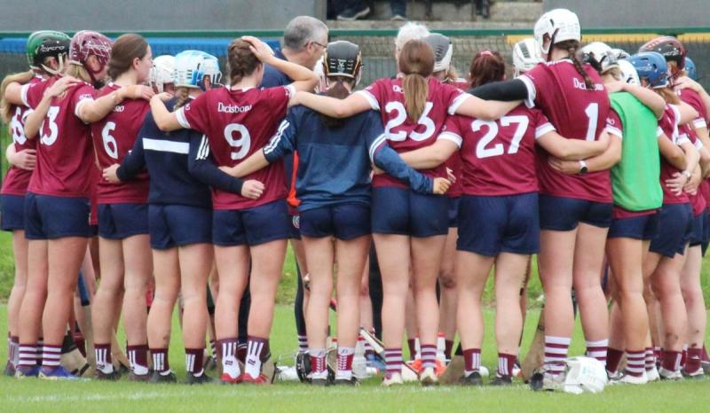 Find out when and where Dicksboro will play in their All-Ireland Camogie Semi-Final