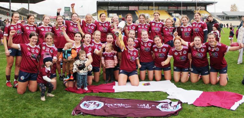 Find out when and where Dicksboro will play in their All-Ireland Camogie Semi-Final