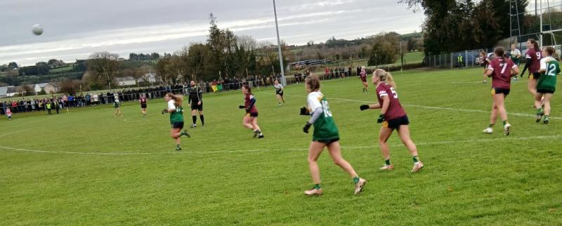  Muckalee continue 'incredible' story and book All-Ireland Final spot - Kilkenny Live