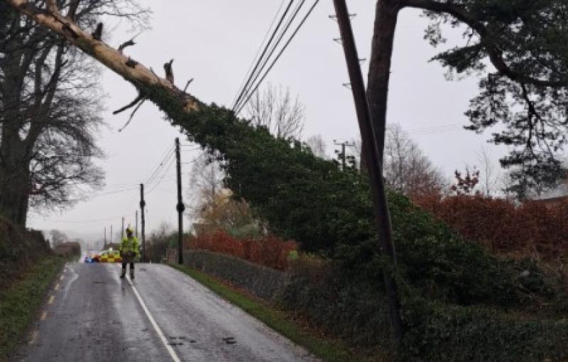 LATEST: Bridge closure, tree blocking road and trampoline on M9 in Kilkenny as Storm Bram lashes Ireland