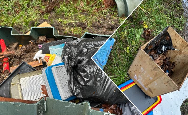 Kilkenny beauty spot is being hit by an 'epedemic of dumping'