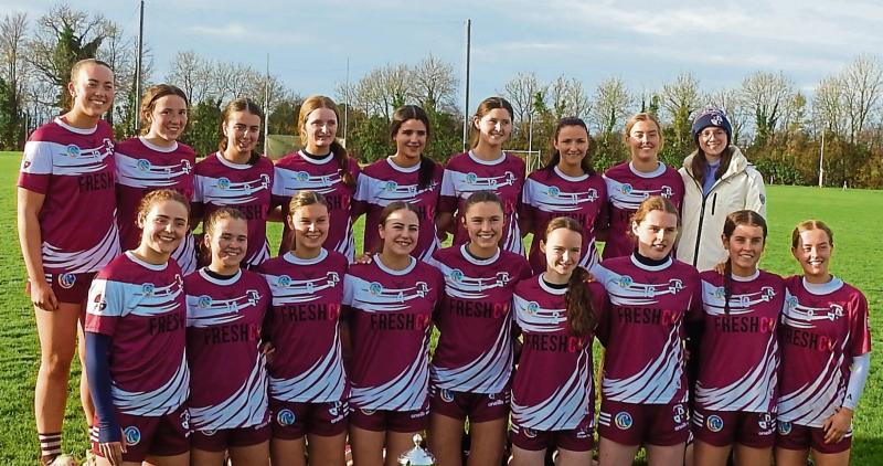 Clara show composure to claim Roinn B camogie crown against James Stephens