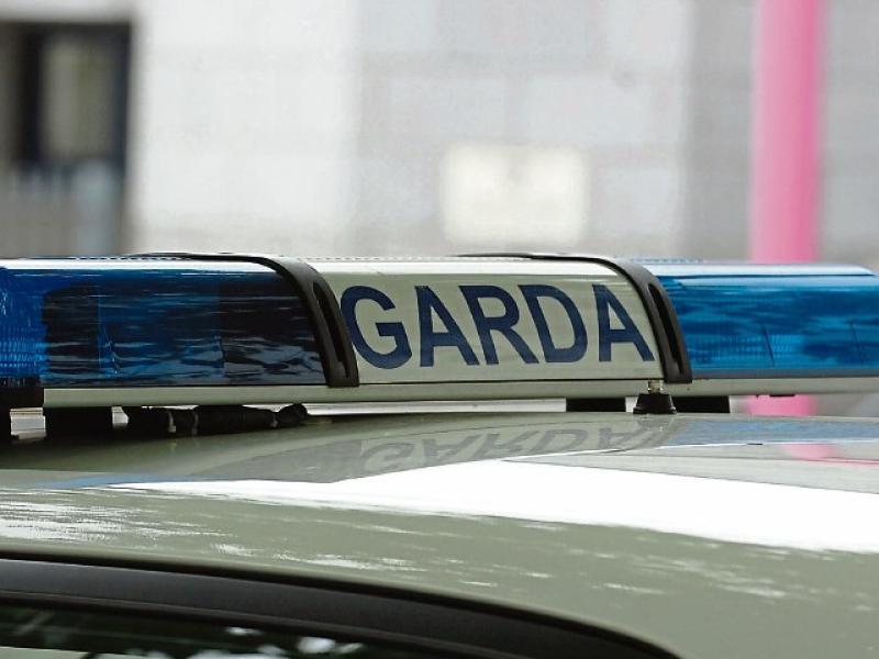 Elderly woman in her 70s dies days after late-night crash as garda&iacute; appeal for witnesses