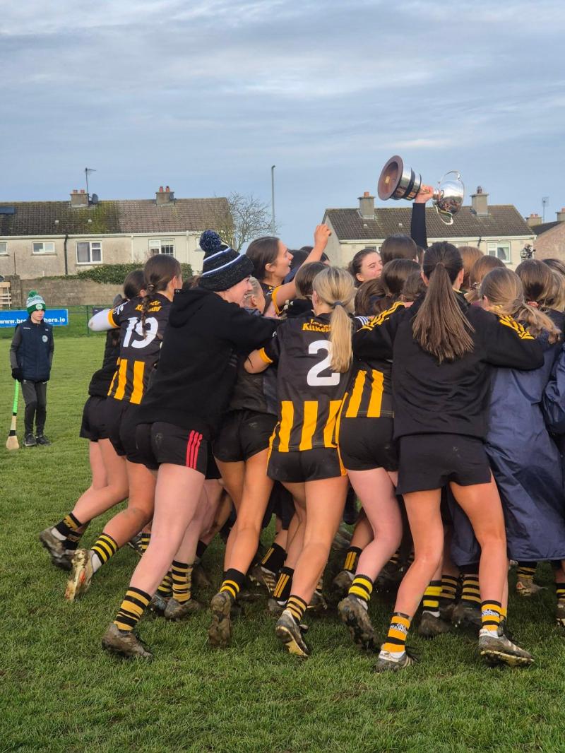Loreto Kilkenny delight as they beat city rivals in Leinster final 