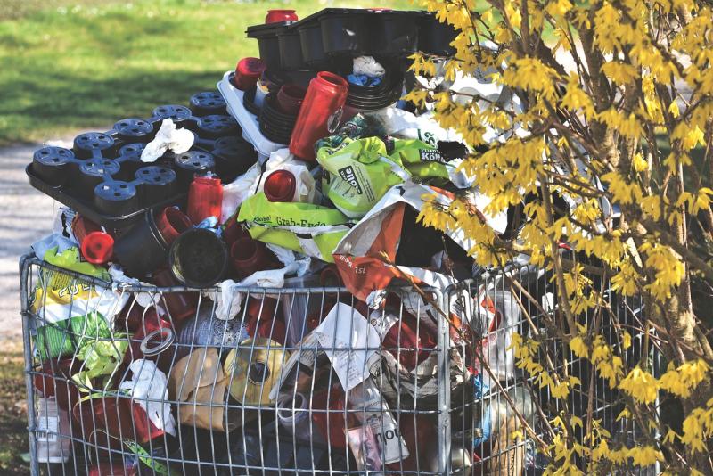 'Scandalous' - surge in Illegal dumping leaves Kilkenny people enraged 