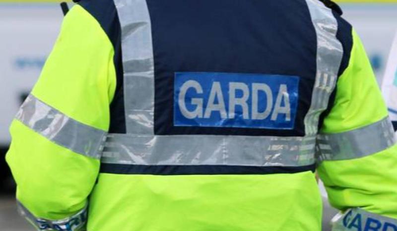 ''We'll be back' - Kilkenny garda&iacute; call to school to discuss public order offences 