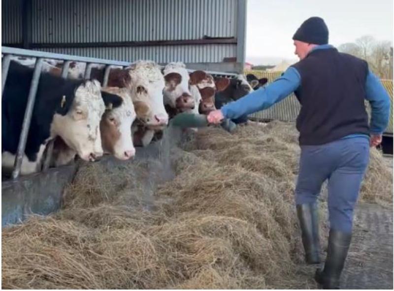 Ruair&iacute; Cummins farms 38ha in Kilmoganny and is one of 24 farmers taking part in the Future Beef Programme with Teagasc, this year