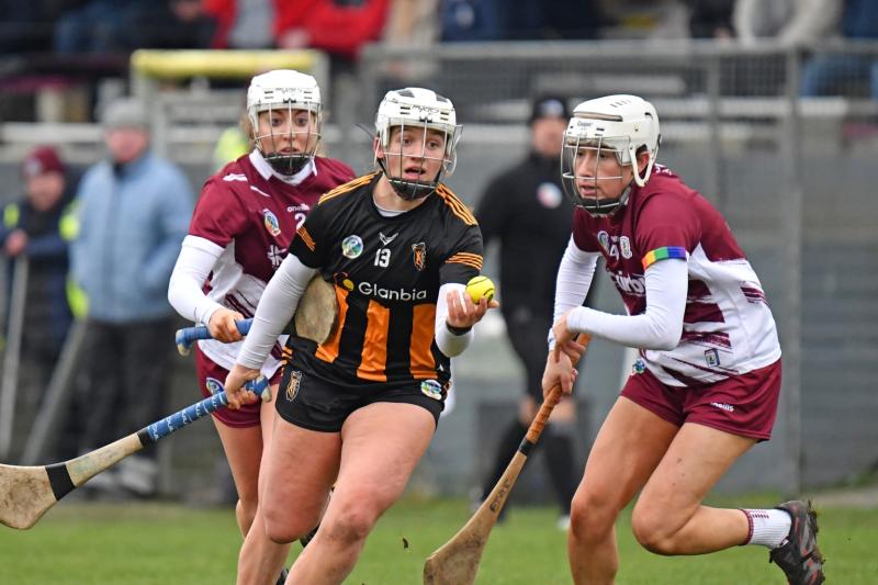 Kilkenny make flying start to camogie league with victory over All-Ireland champs
