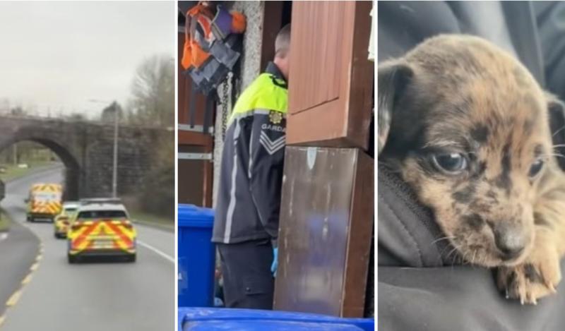 'Heartbreaking' - Huge reaction to Kilkenny garda-led operation