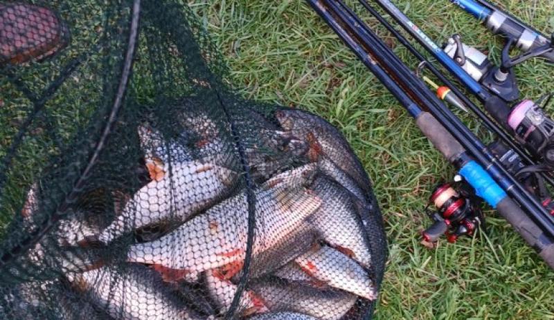 Kilkenny court case over illegal fishing ends in conviction