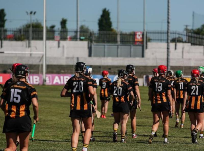 Kilkenny and Waterford play out tense Centra Camogie League derby encounter 
