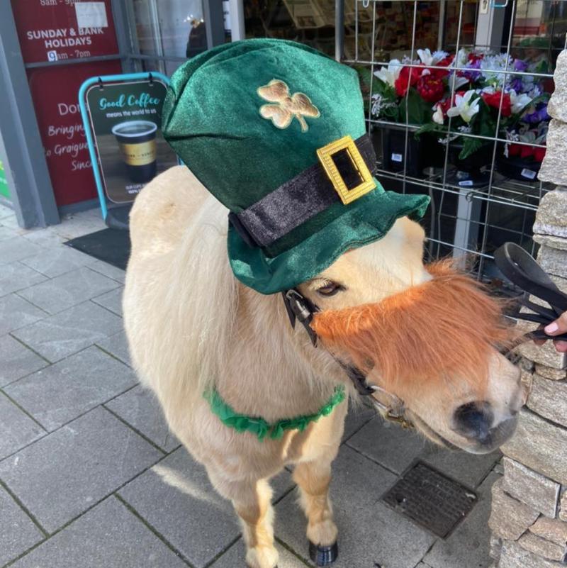 Floats of all shapes and sizes to feature in Graignamanagh Parade