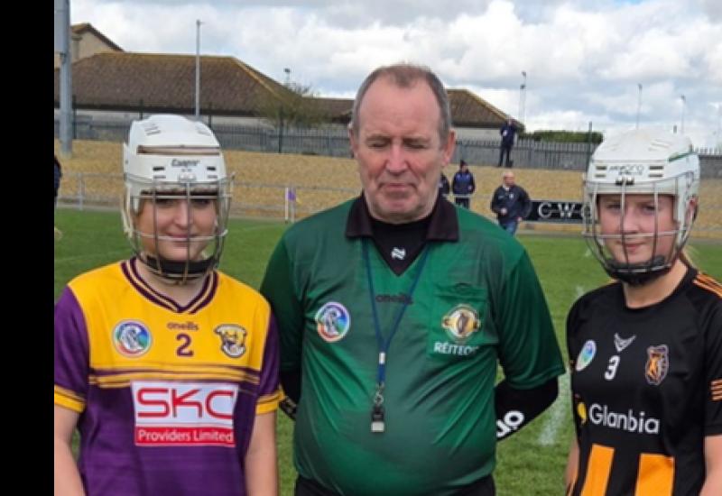 Strong finish helps Kilkenny get past Wexford challenge in Under-16 Championship