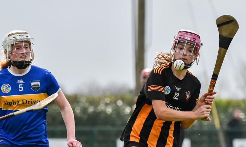 Kilkenny turn on the style in under-16 camogie win over Tipp