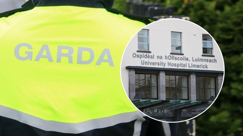 Young man dies following electric scrambler crash as Garda&iacute; urge witnesses to come forward