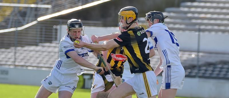 Kilkenny stroll to huge win over Laois in Under 19 hurling league
