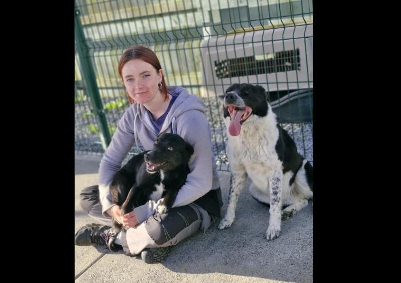 ​Animal rescue seeks new home in Kilkenny&nbsp;