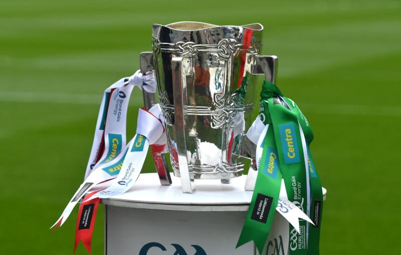 Liam MacCarthy cup returns to Kilkenny for some TLC 