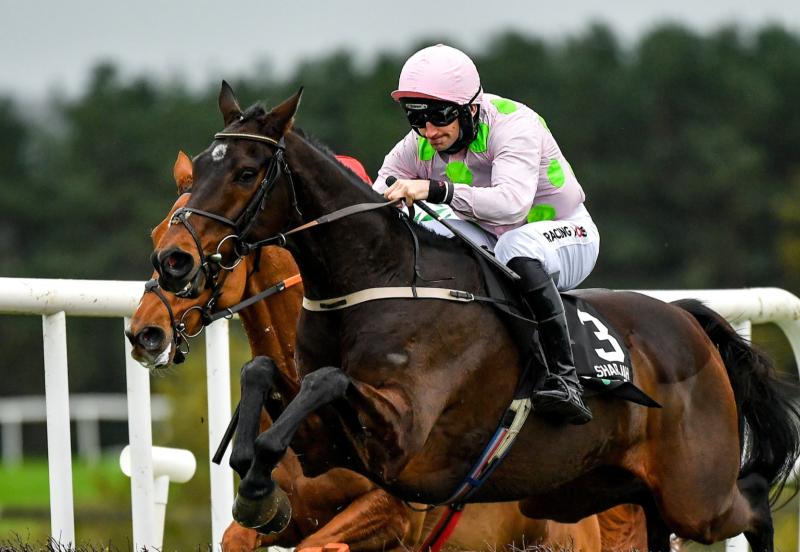 Sharjah tops the bill on Red Mills Day at Gowran Park