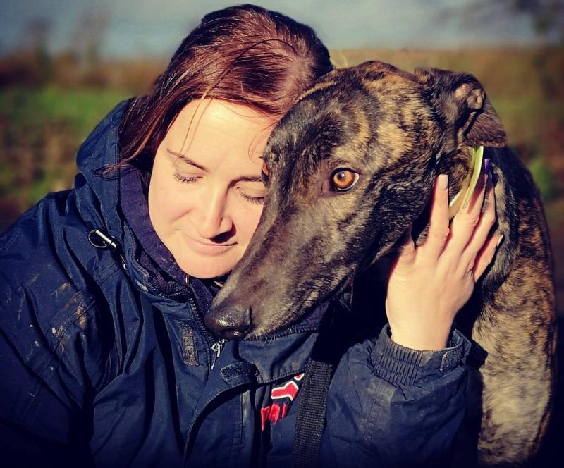 PAWS Pet Rescue