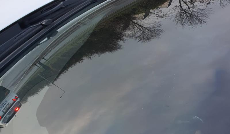 Garda&iacute; instruct driver to remove 'ridiculous' window tint in Kilkenny