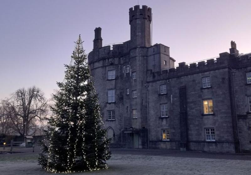 Want to see the decorated inside of Kilkenny Castle for free? Find out more!