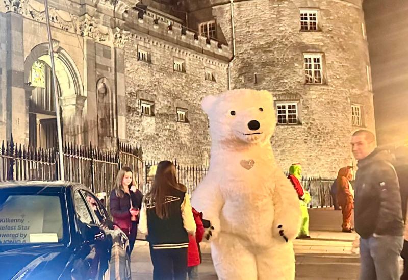 Search on for polar bear missing after Christmas event in Kilkenny