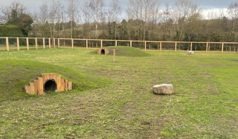 New dog park welcomed at Kilkenny Countryside Park
