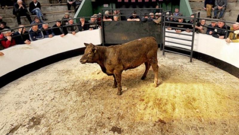 Cattle prices high on the agenda for farmer at a major IFA livestock meeting in Portlaoise