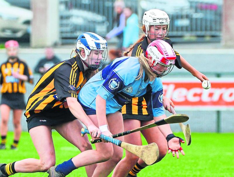 Colleges Camogie: Defences on top as all-city camogie  affair ends all square