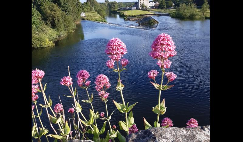 KILKENNY