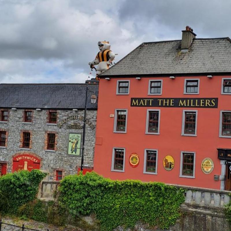 Pick the purr-fect name for this Kilkenny cat