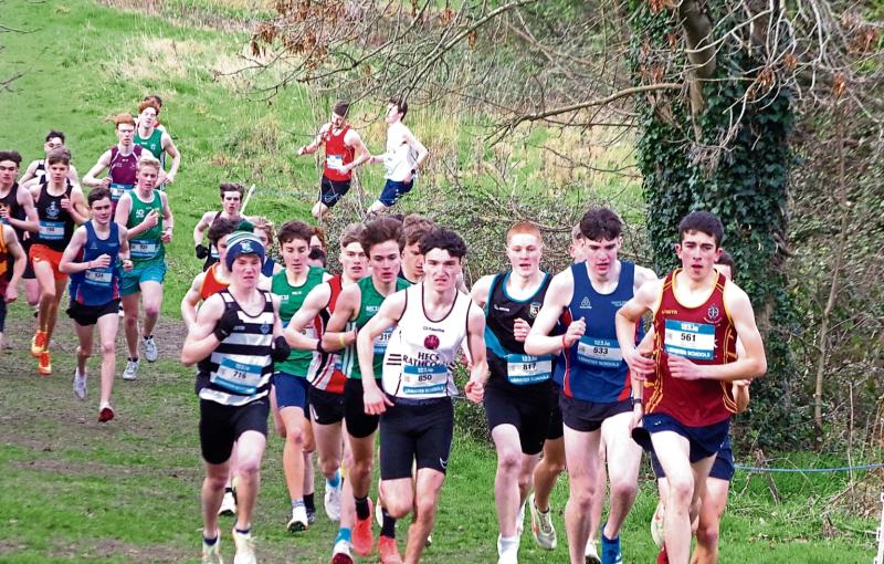 Top marks as St Kieran’s College claim Leinster schools crown