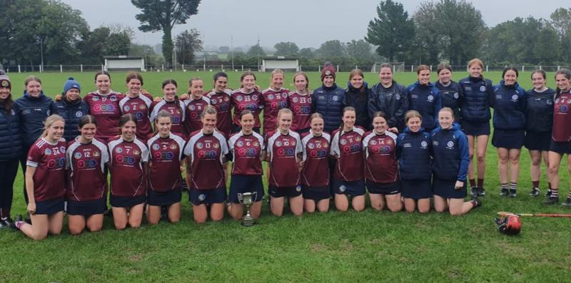 Dicksboro see off Piltown to claim Senior Camogie League title