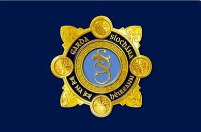 Kilkenny gardaí pull over drug driver in broad daylight 