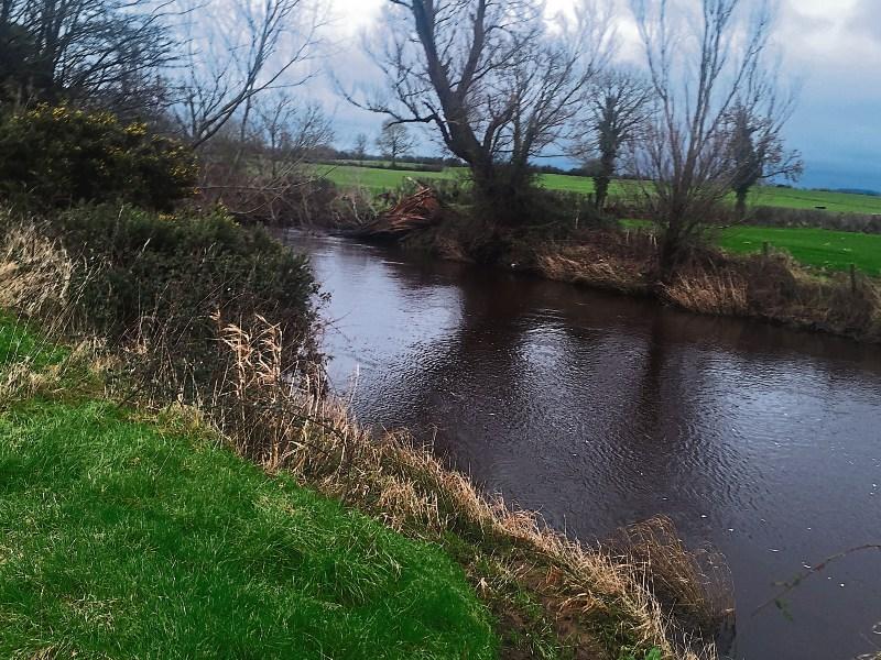 Kilkenny Kilkenny