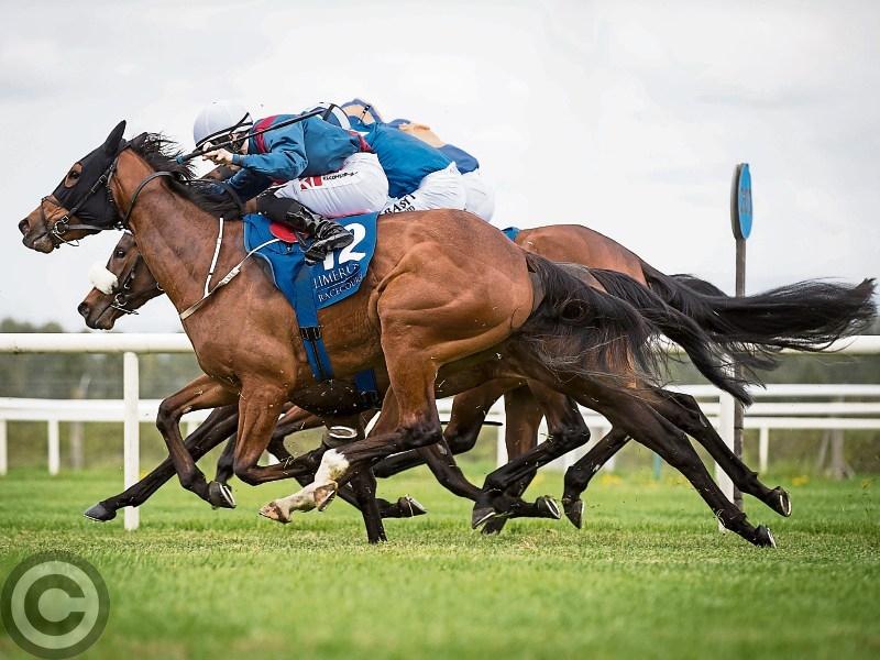 Recognisable Kilkenny influencer confirmed as special guest for raceday in Tramore