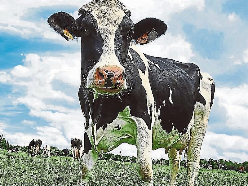 Tirlán reveals price to be paid for February milk - Kilkenny Live