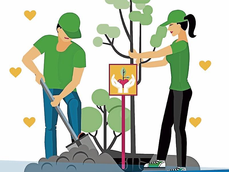 NOTE: Volunteering opportunities available in Kilkenny 