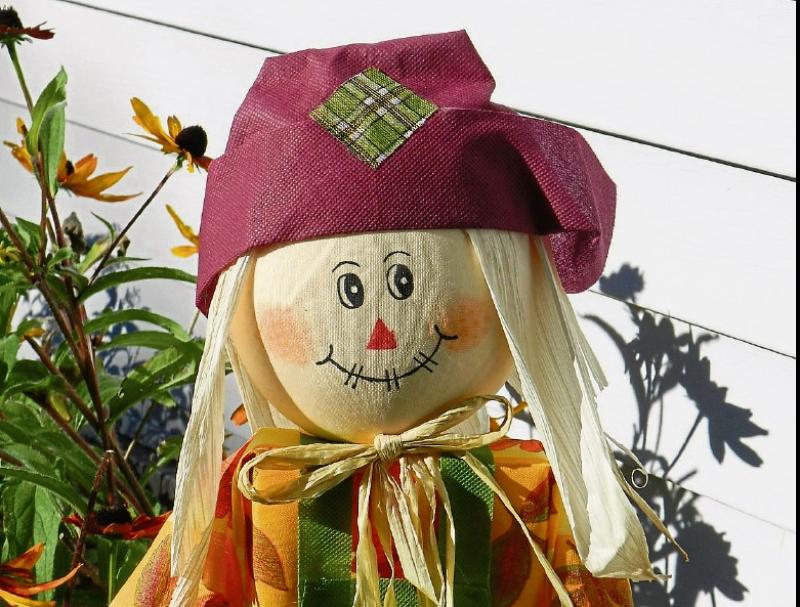 Locals in Kilkenny to be shown how to make the perfect scarecrow