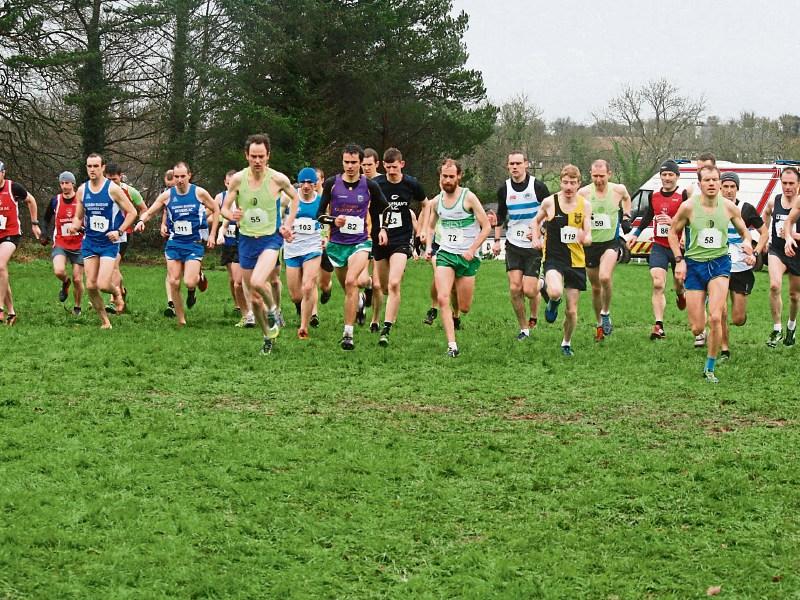 Gold weekend for Grennan girls