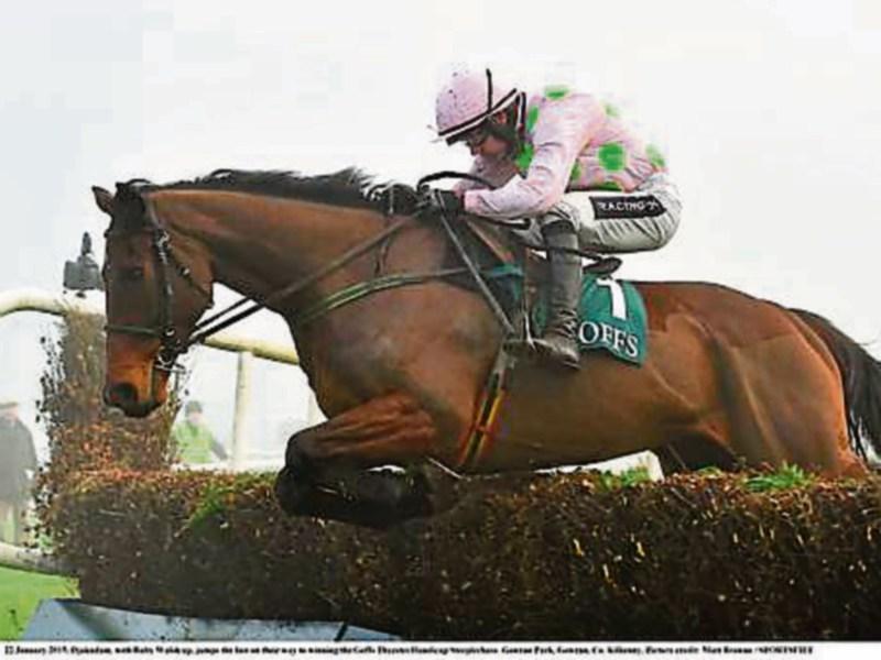 THE PUNTER'S EYE: Cheltenham Day 3 Preview 