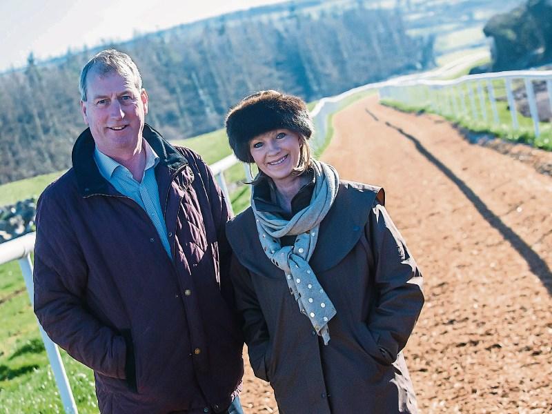 Holden Plant rentals day at Gowran Park